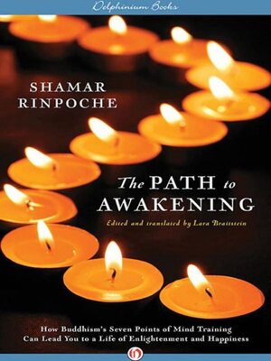 cover image of The Path to Awakening